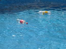 tompavor i koelvattnet.jpg