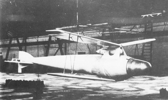 siemens torpedo glider 1918.jpg