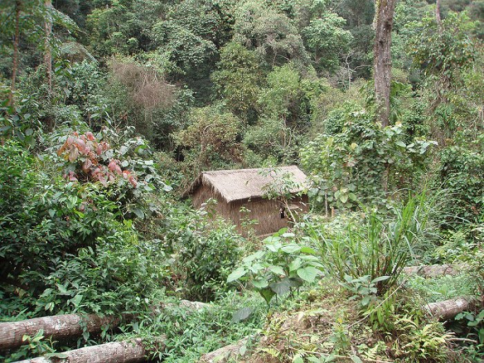 Giaps stabsplats.jpg