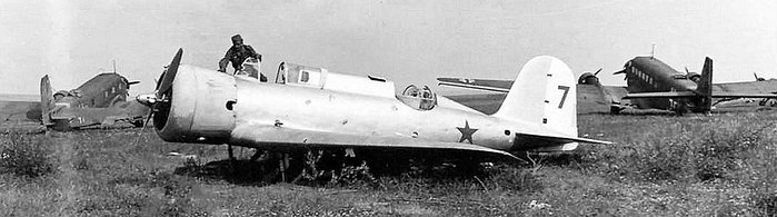 en katt - bland hermeliner....jpg