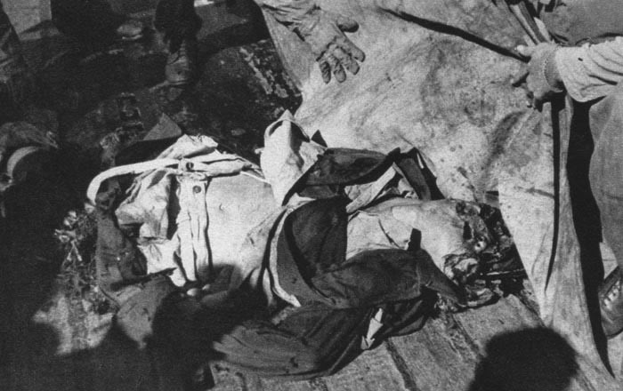 ohyggligt lemlaestade kvarlevorna.jpg