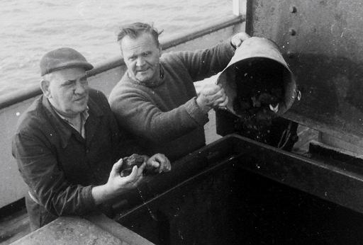 bunkerlucka paa dæck.jpg