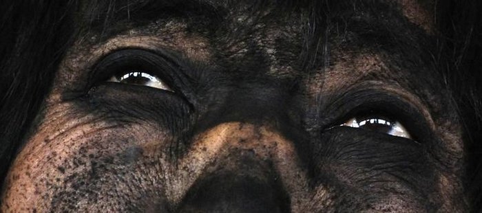 ...saag bara øgonvitorna.....jpg