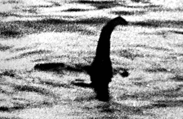 Nessie.jpg