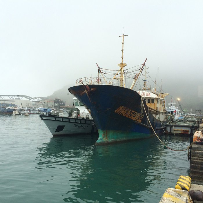 Kinesisk fiskeskuta.jpg