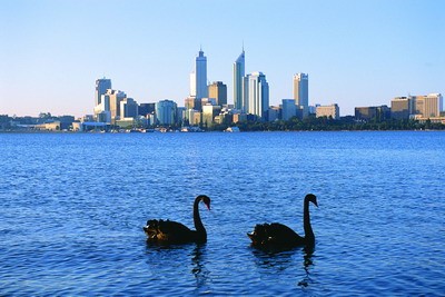 faaglar i huvudstadens vatten.jpg