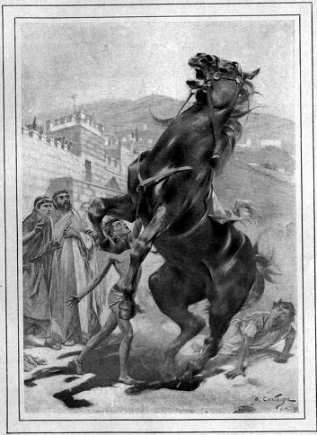 tæmja yster springare.....jpg