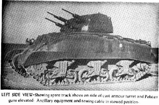 skink.JPG