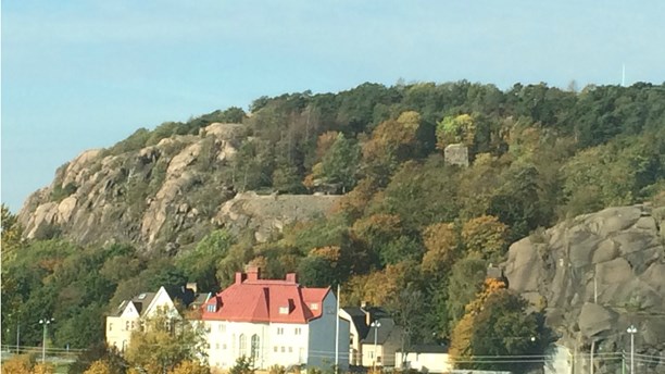 Berg.jpg