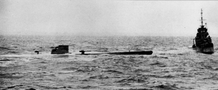 110 och Bulldog.jpg