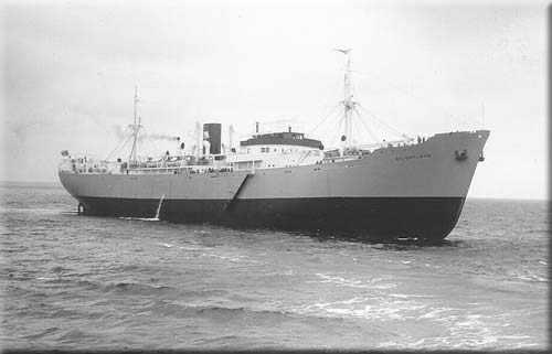 ms SILVAPLANA.jpg