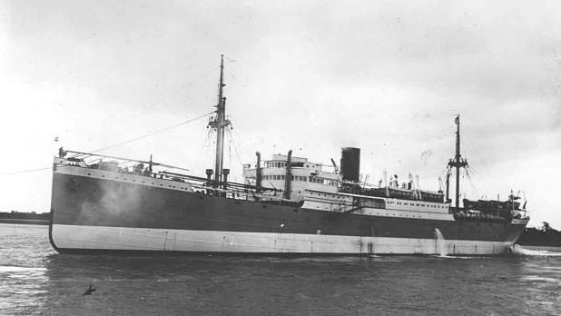 ms KOTA NOPAN.jpg