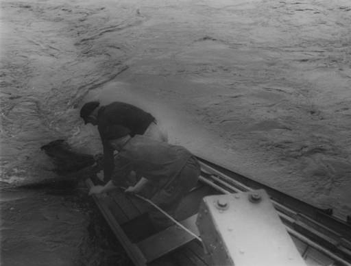 uppfiskning av drivmina Rhen - inget kænt datum.jpg