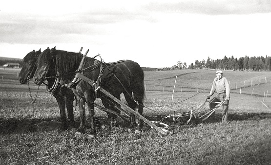 - väl samtränat dubbelteam -.jpg