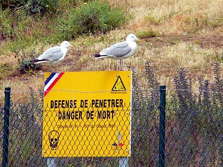Cézembre04.jpg