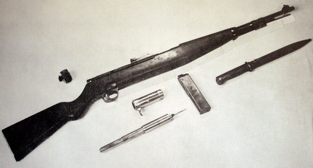 pistolkarbin.jpg