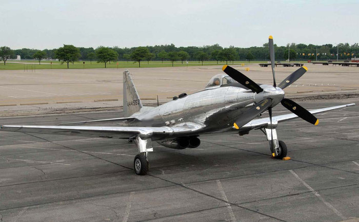 eagle-10.jpg