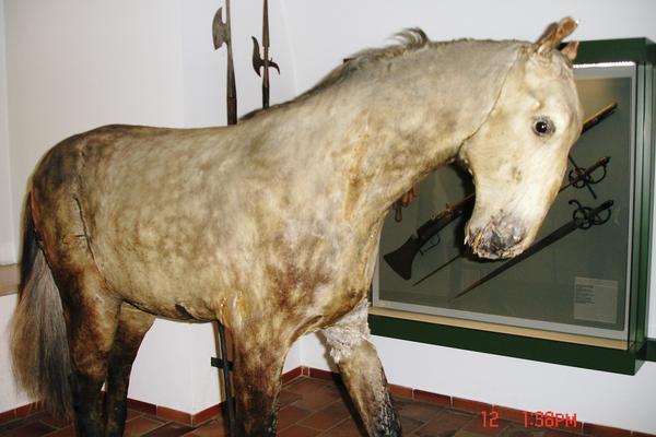 Gustav II Adolphs.jpg