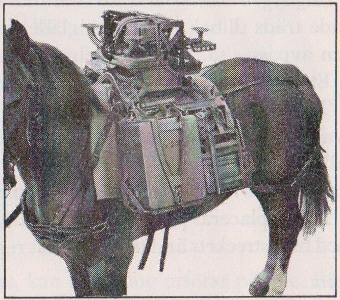 utan_lavett.jpg
