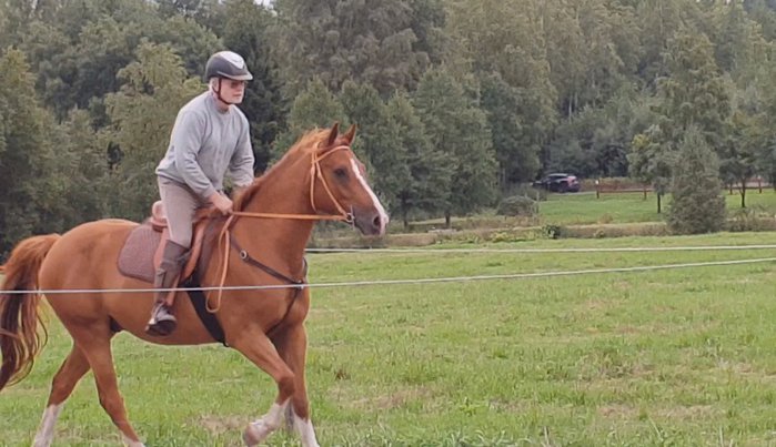 bugatti på galoppbanan.jpg