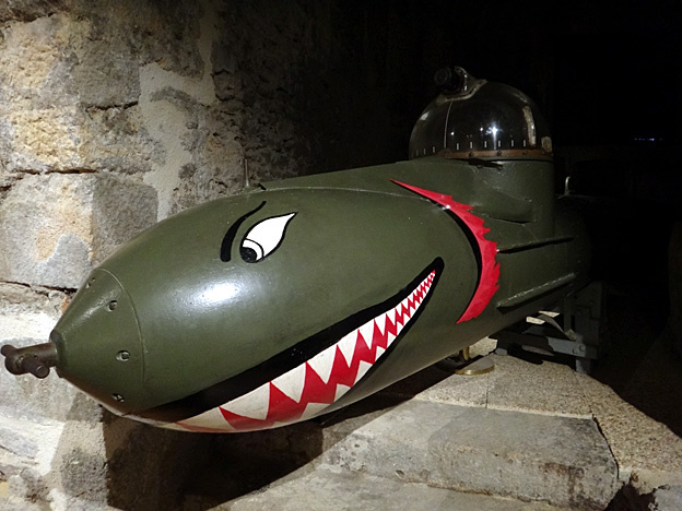 Marder modertorped.jpg