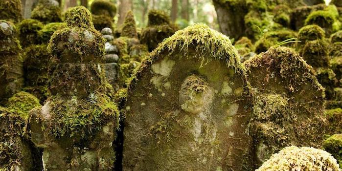 2010 round the world.jpg