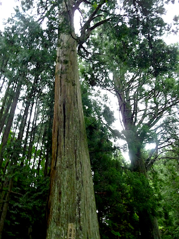 2010 round the world 1354.jpg