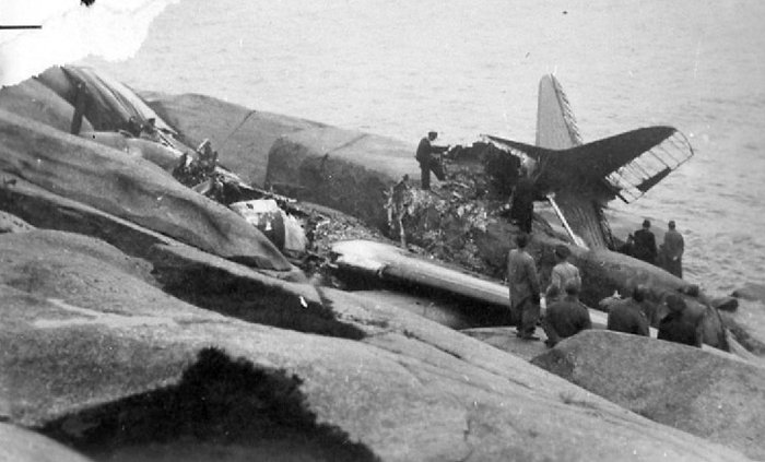 en bruten faagel.....jpg