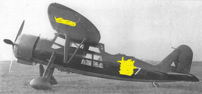 puckel.jpg