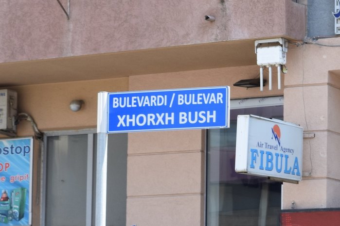 Bush.jpg