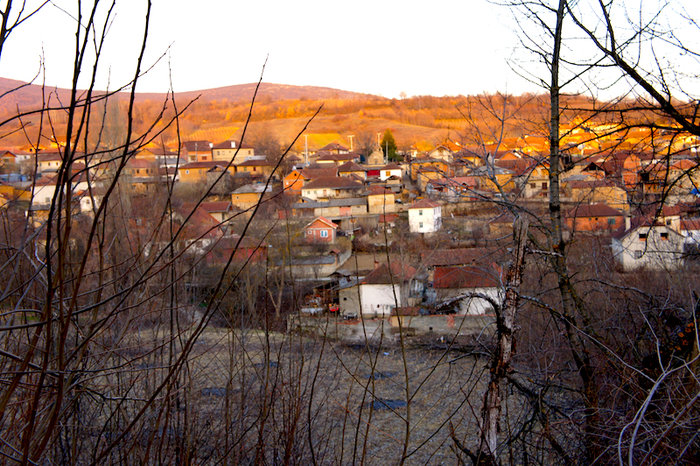 DSC03225.jpg