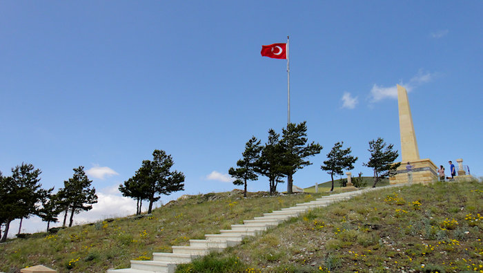 DSC04317-2.jpg
