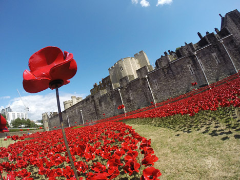 Blood-Swept-Lands-and-Seas-of-Red-poppies-installation-at-the-Tower-of-London_dezeen_468_5.jpg