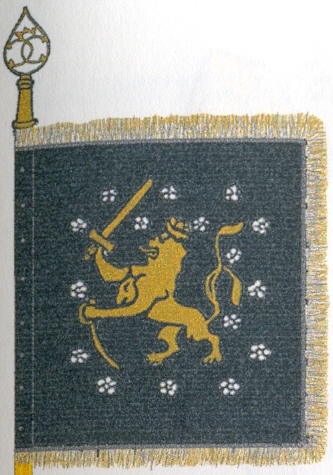 åbobjörneborgslänskav.jpg