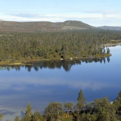 Grøvelsjøn i Dalom.jpg
