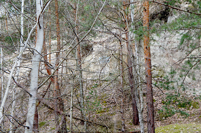 DSC04990.jpg