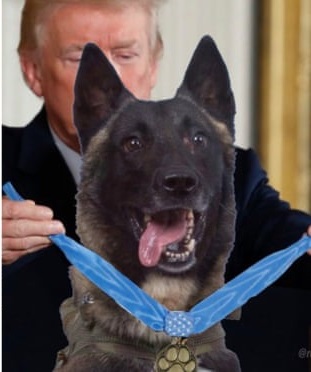 Medal of Honour.jpg