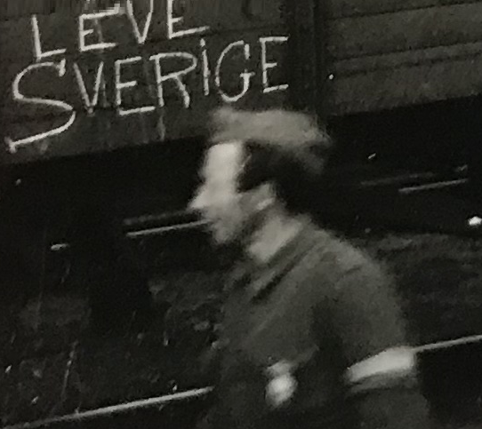 leveSverige.png