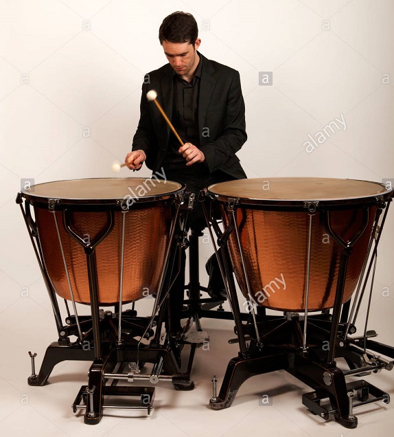 pukor utan trumpeter.jpg