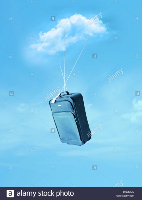 flying-suitcase-BGMYMN.jpg