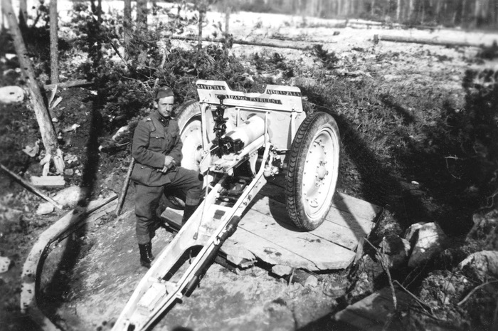 vinter kanon.jpg