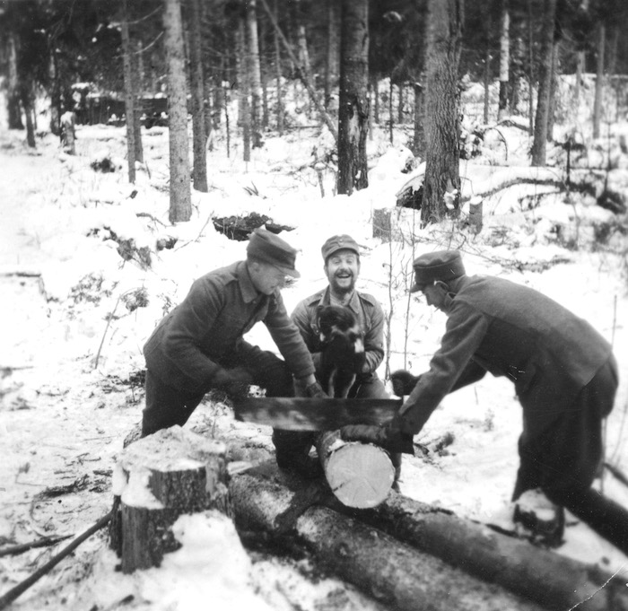 vedsågning vid Jsp i skogen söderom Karhumäki i nov 1941.jpg