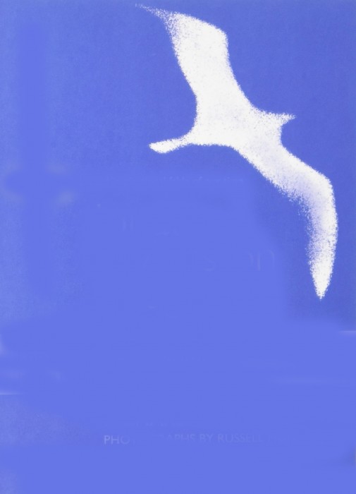 81uWX5+A1rL.jpg