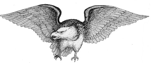 89th_Aero_Squadron_-_Emblem.jpg