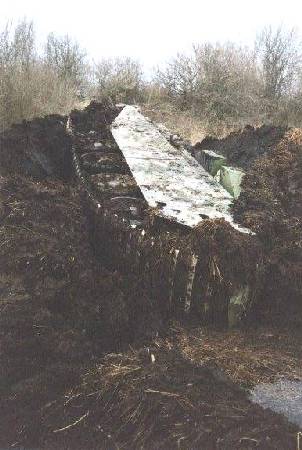 07.jpg