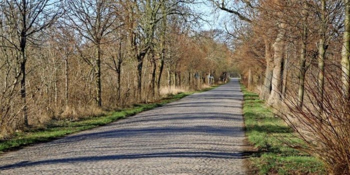 kopfsteinpflaster.jpg