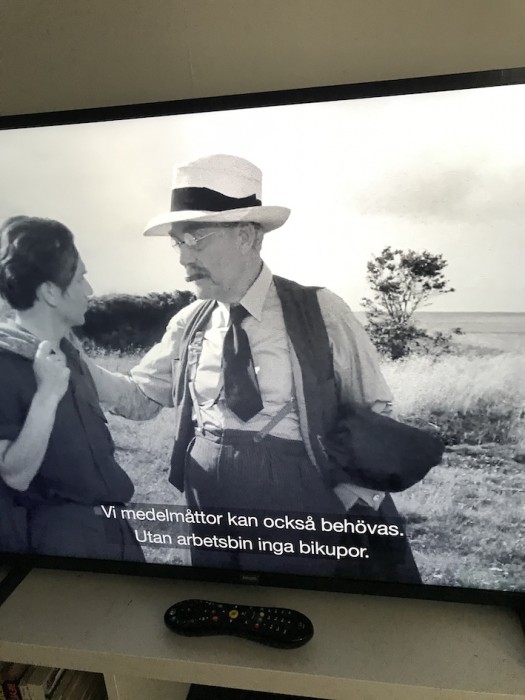 svartvitt.jpg