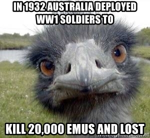 in-1932-australia-deployed-ww1-soldiers-to-kill-20000-emus-and-lost.jpg