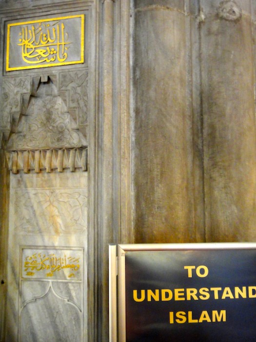 DSC02617-2.jpg