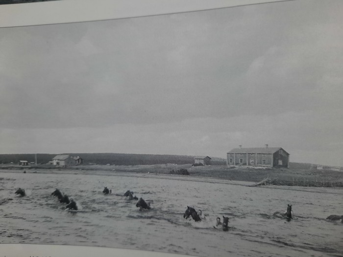 Simövning.jpg